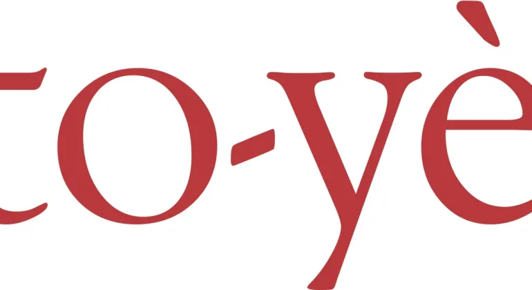 Partner toye-logo
